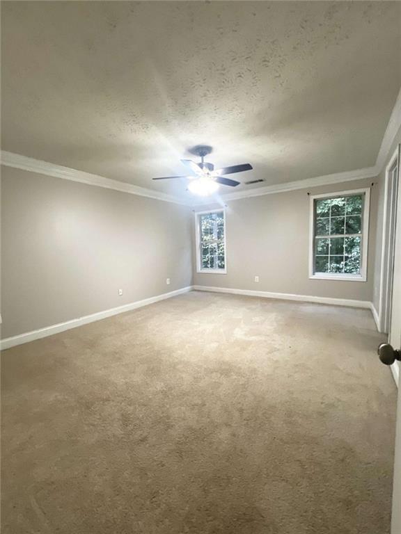 3013 Rockview Drive, Loganville, Georgia image 13
