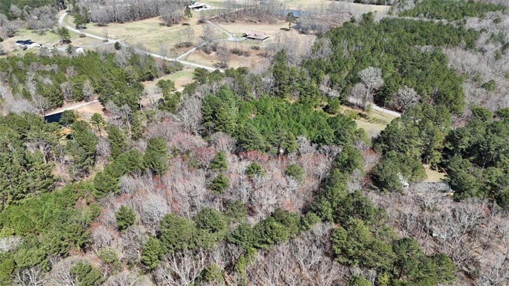 June Kemp Road, Aragon, Georgia image 13
