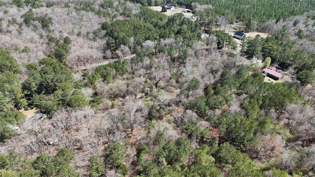 June Kemp Road, Aragon, Georgia image 14