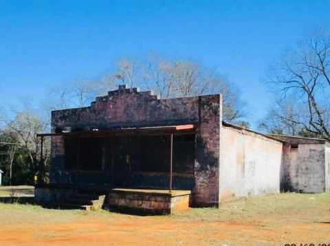 194 Milken Avenue Richland GA 31825