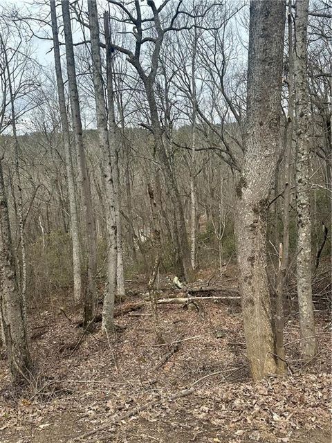 Vacant Land For Sale - Mulberry Court<br/> Jasper, GA 30143