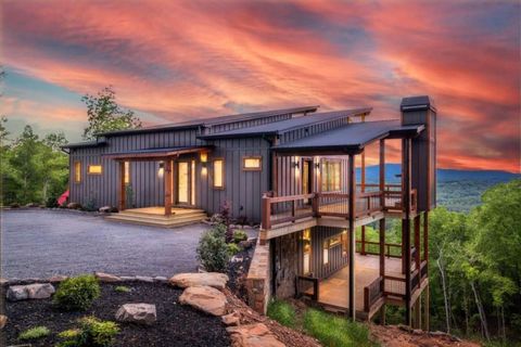 885 Tower Road Mineral Bluff GA 30559
