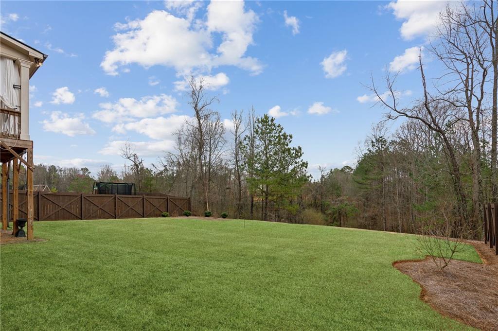 6902 Lancaster Crossing, Flowery Branch, Georgia image 47
