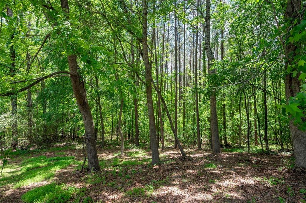 17 Hiram Way, Hiram, Georgia image 39