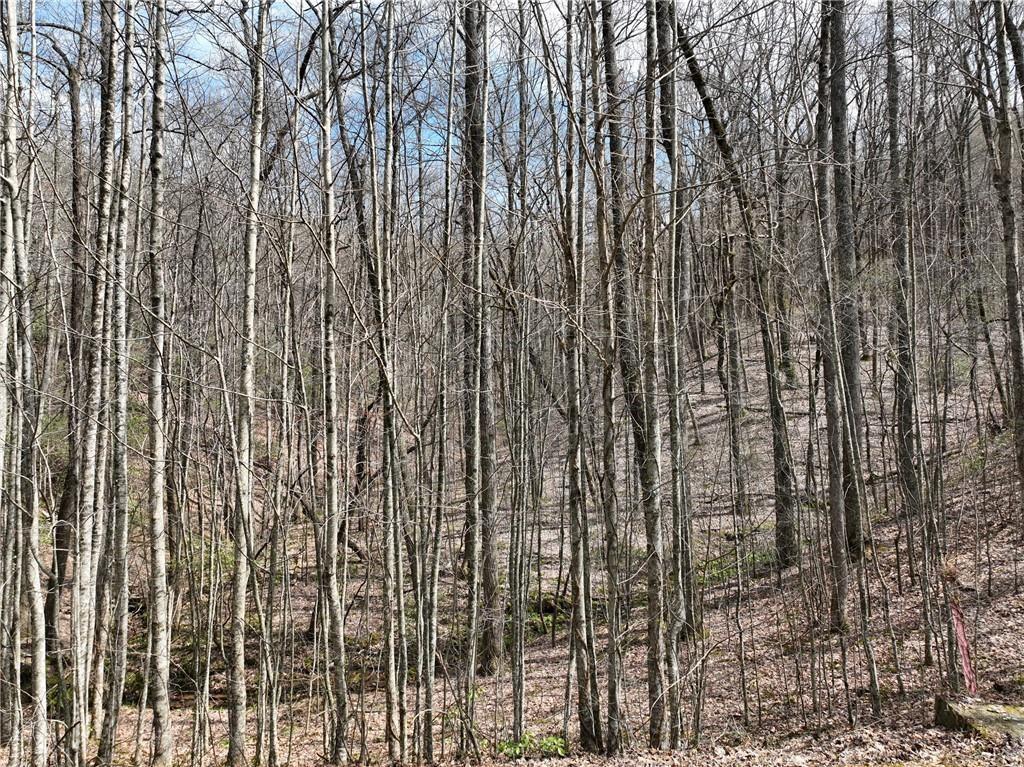 3 Acre Mountain Lot with small Spring fed mountain STREAM. You'll see a flowing spring just a few feet off the road that is easily to navigate around. This upsloping lot with rolling to sloping terrain can offer a very navigable driveway up to a large flatter area towards the top of the lot. The parcel is narrow at the front but greatly widens in the back. Check out the topography map to see the nice gentle building spot where it starts to widen! Perfect for a very private and serene mountain home surrounded by woodlands. Seasonal close mountain views. Adjacent lots/acreage on both sides are available for even more privacy and elbow room. Okay to buy now and build later. Electric, phone, cable, and high speed internet at road. Check out the topo map in photos. Close to orchards, wineries, and hiking. Approx 20-25 minutes to Jasper or Ellijay. Gated, HOA, 2000 min, no rentals, all buyers must be with an agent per HOA. Terrain parcel line photos are an approximation only.