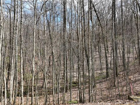 Vacant Land For Sale - 64 St Andrews Way<br/> Ellijay, GA 30536