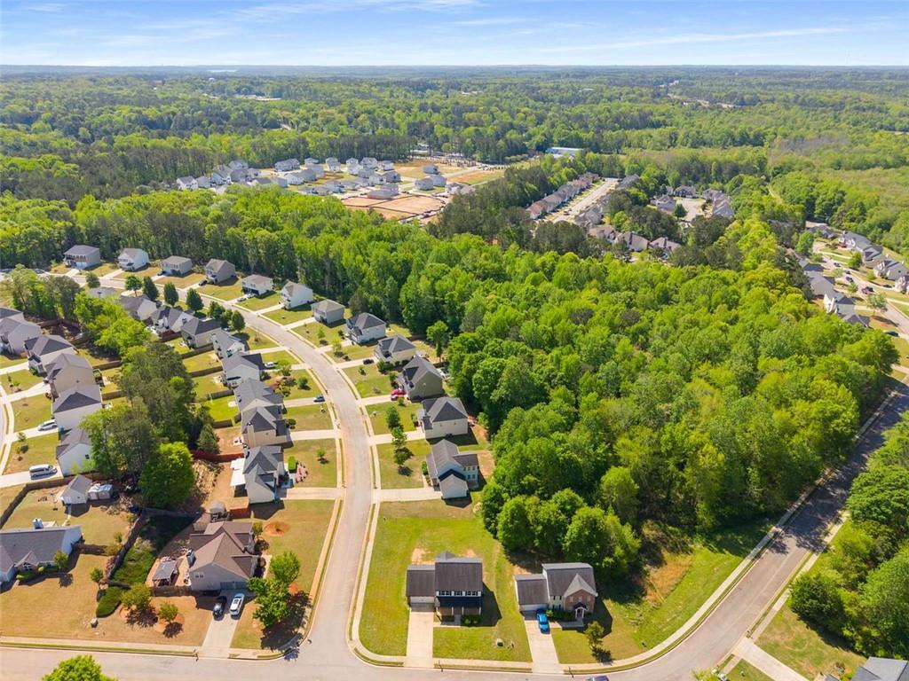 960 Revere Way, Hampton, Georgia image 22