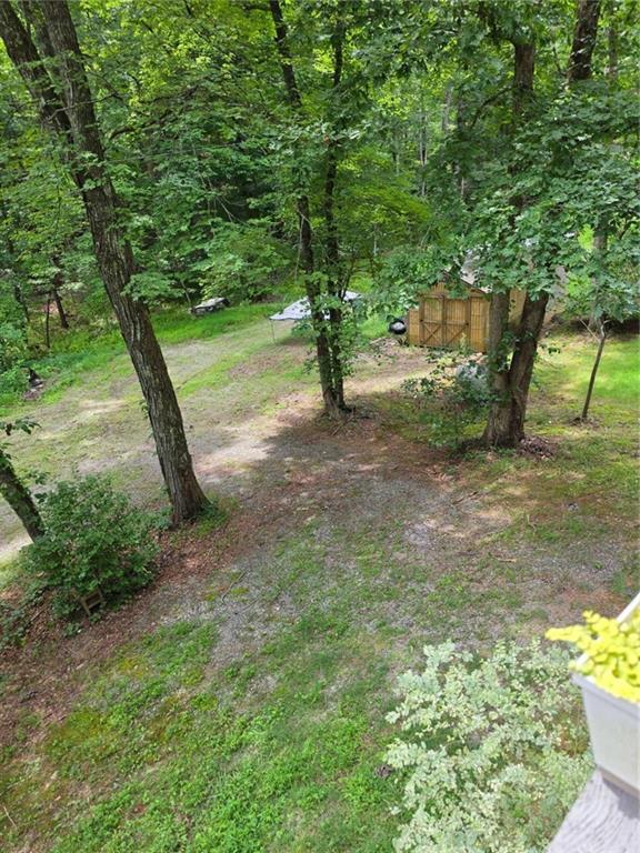49 Deer Trail