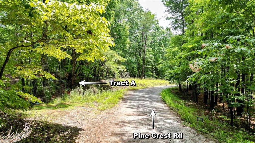 47 AC Pine Crest