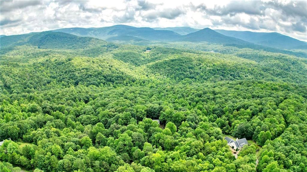 47 AC Pine Crest