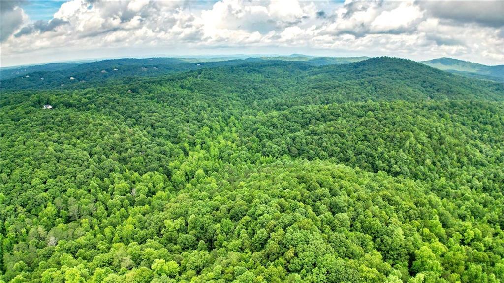 47 AC Pine Crest