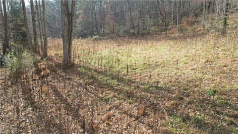 Vacant Land For Sale - 0000 Blackburn Tract 3a Road<br/> Dawsonville, GA 30534