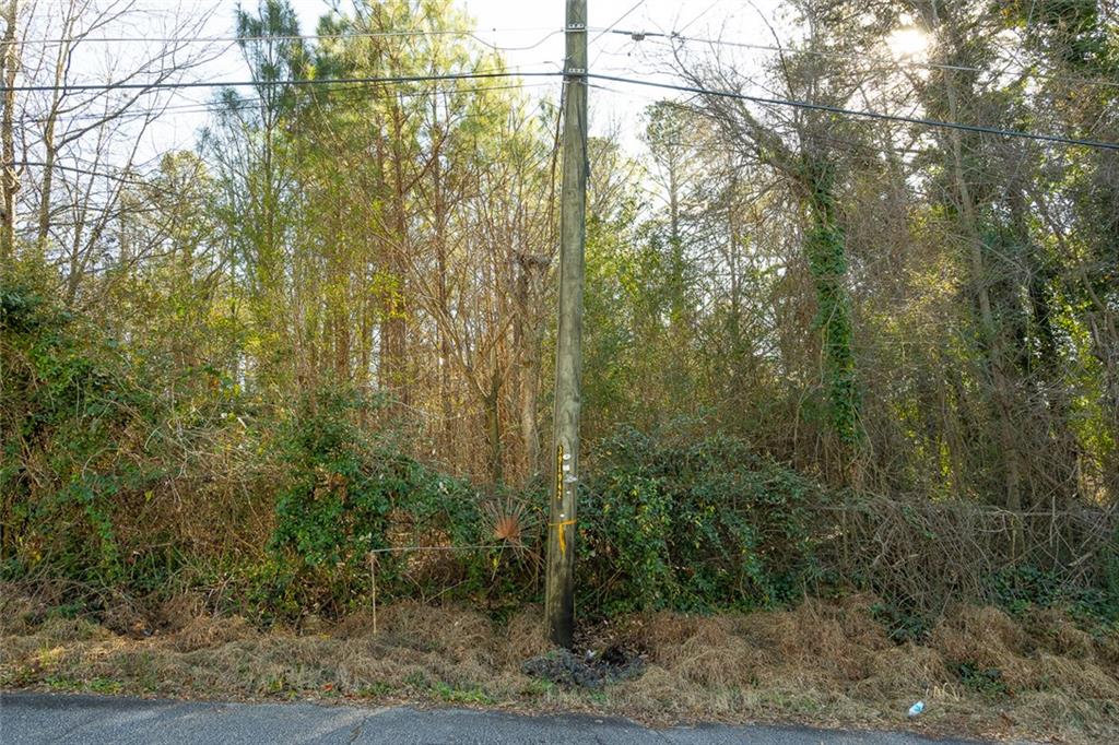 5170 Hilltop Drive, Union City, Georgia image 3