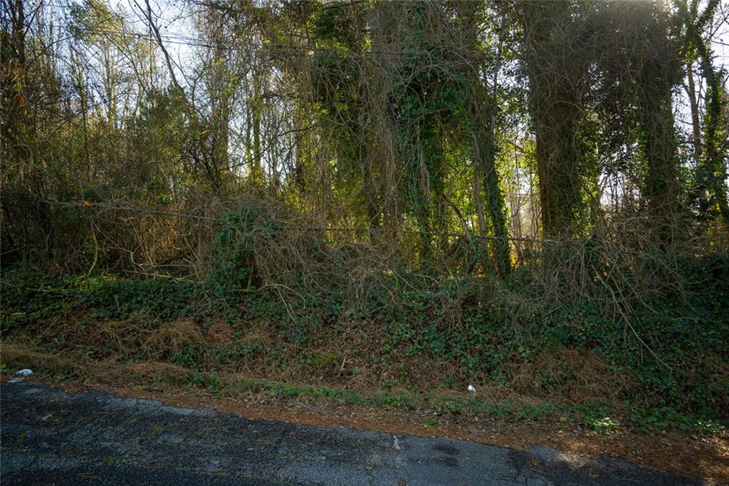 5170 Hilltop Drive, Union City, Georgia image 9