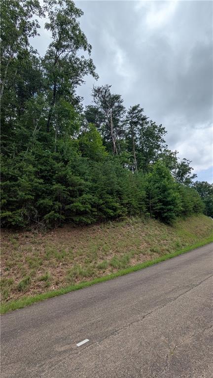 232 Stone Cliff Drive