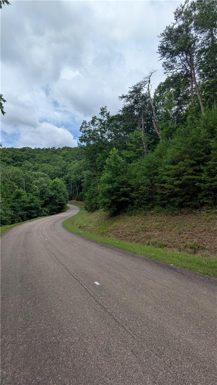 232 Stone Cliff Drive
