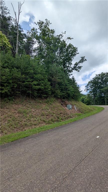 232 Stone Cliff Drive