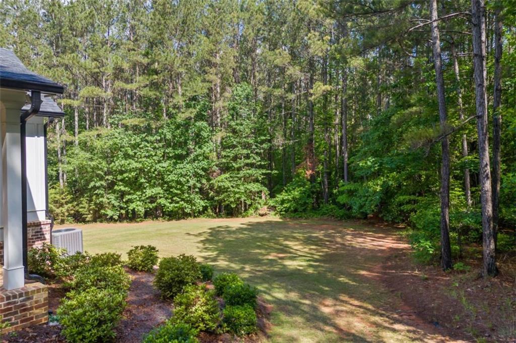 726 Swilling Road, Eastanollee, Georgia image 10