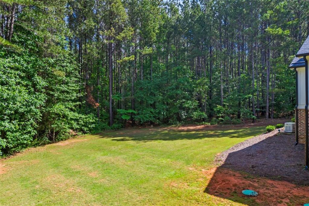 726 Swilling Road, Eastanollee, Georgia image 8