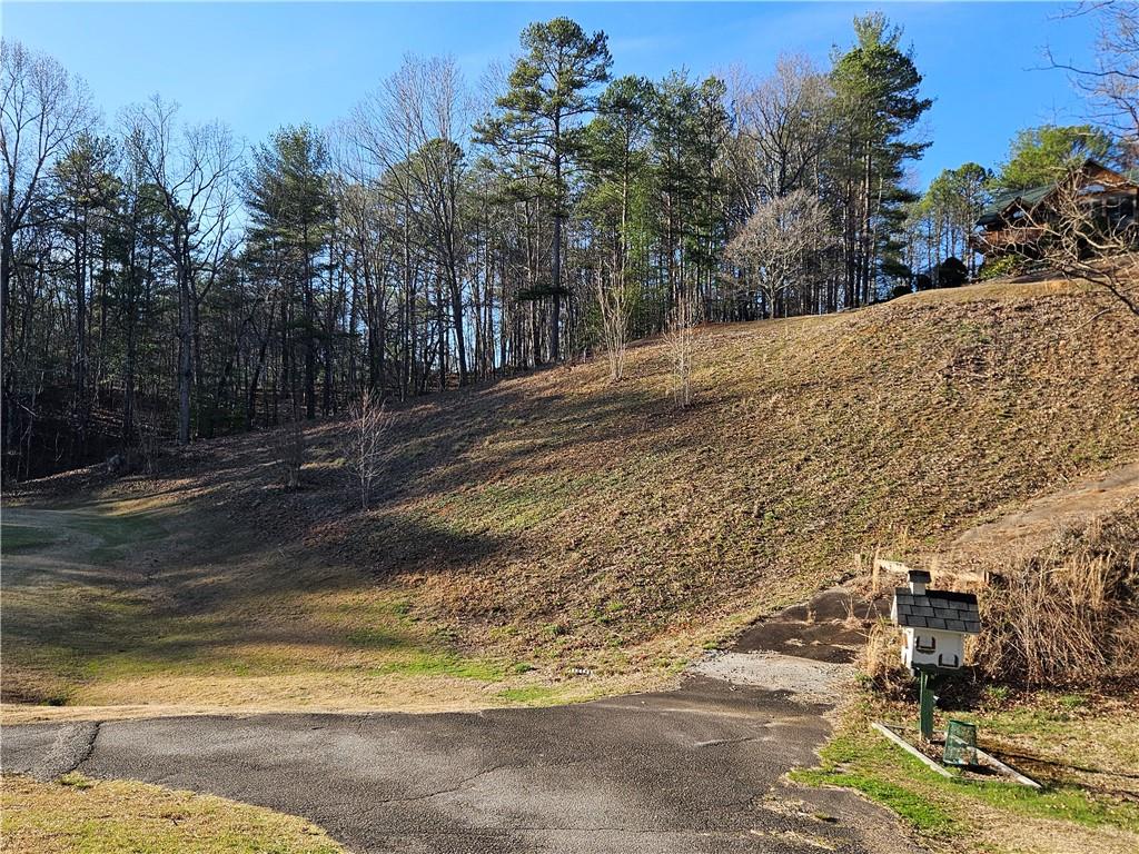 LOT 0 Bahn Erlenbruck, Helen, Georgia image 23