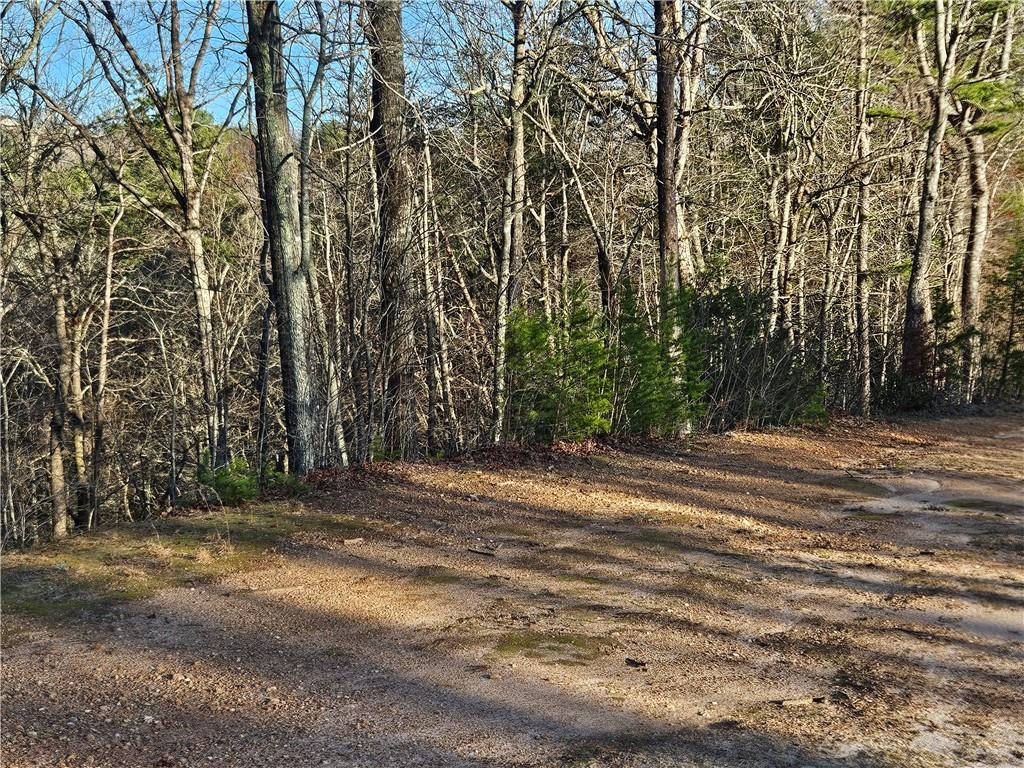 LOT 0 Bahn Erlenbruck, Helen, Georgia image 35