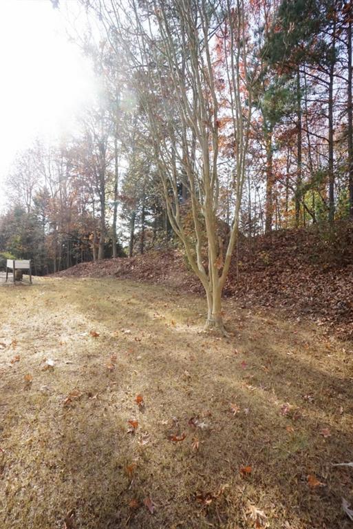 3936 Toccoa Falls Drive, Duluth, Georgia image 36