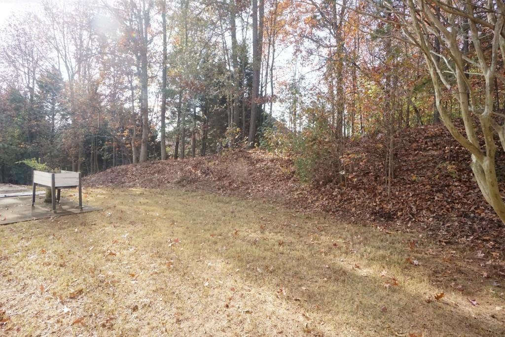 3936 Toccoa Falls Drive, Duluth, Georgia image 3