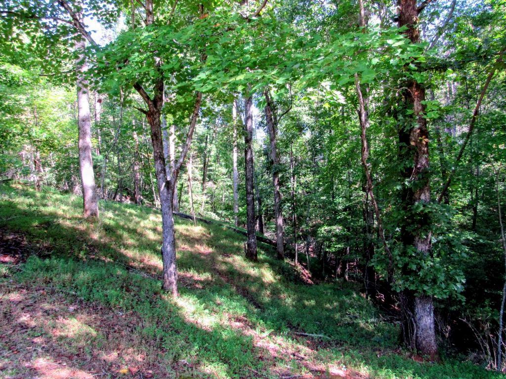 343 Hollybrook Road
