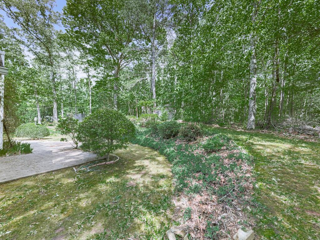 202 Westwind Drive, Ball Ground, Georgia image 32