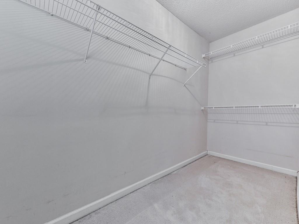 202 Westwind Drive, Ball Ground, Georgia image 22