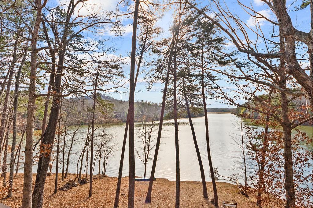 192 Grassy Knob Court