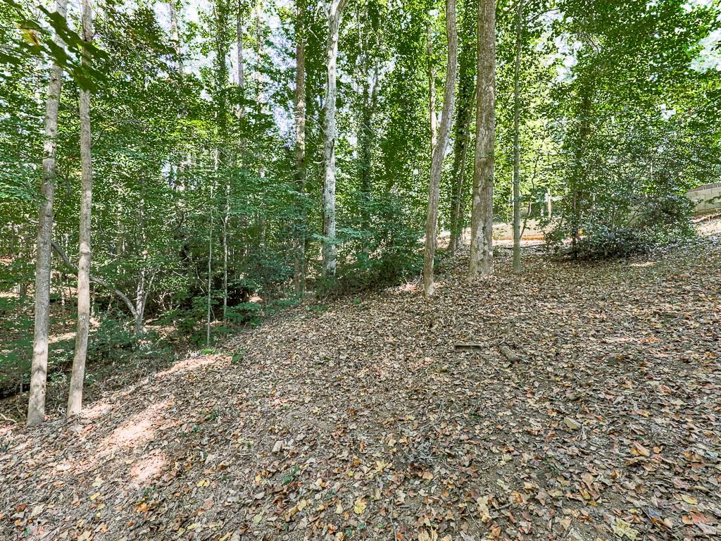 1564 Bubbling Creek Road