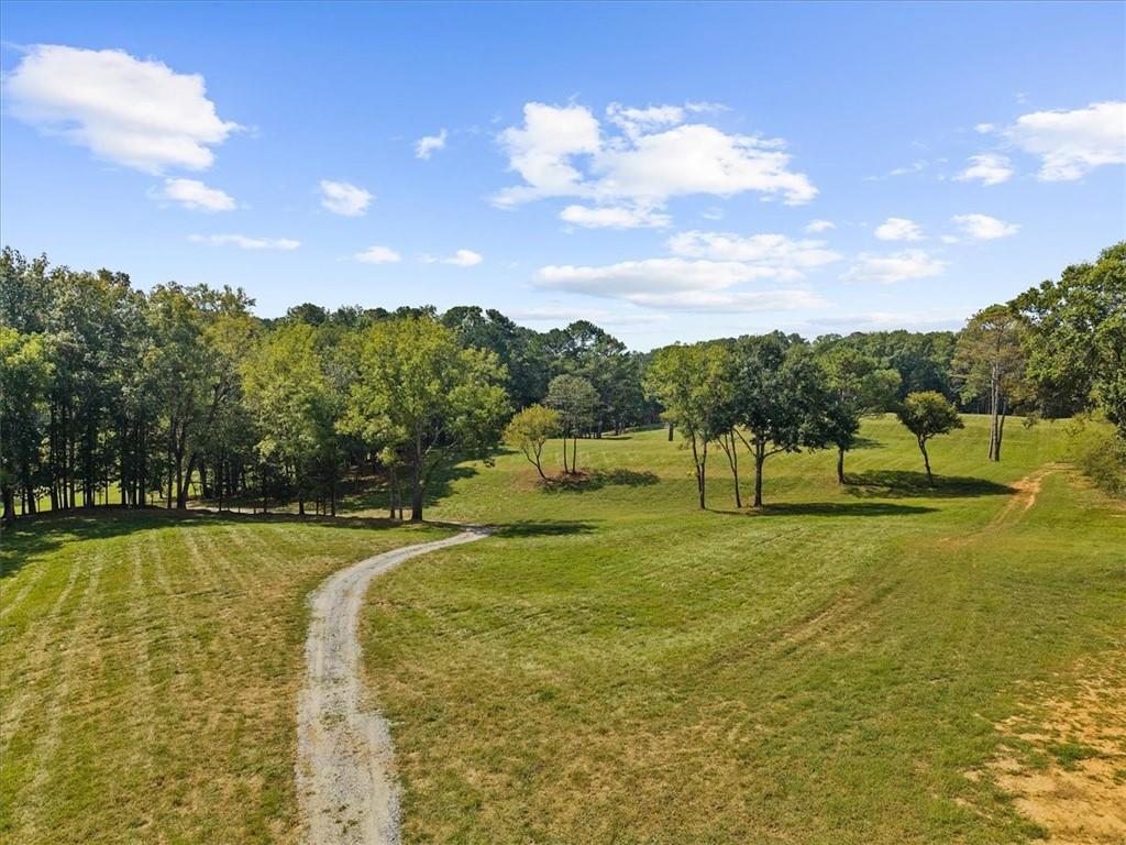 353 Jesse Martin Trail