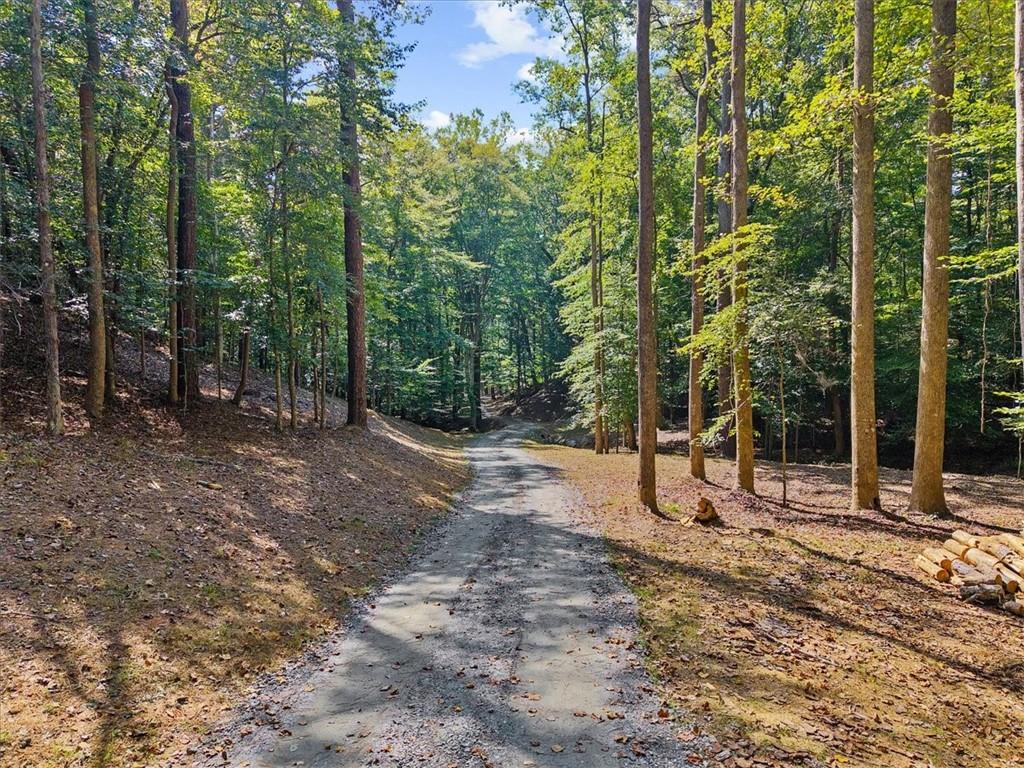 353 Jesse Martin Trail