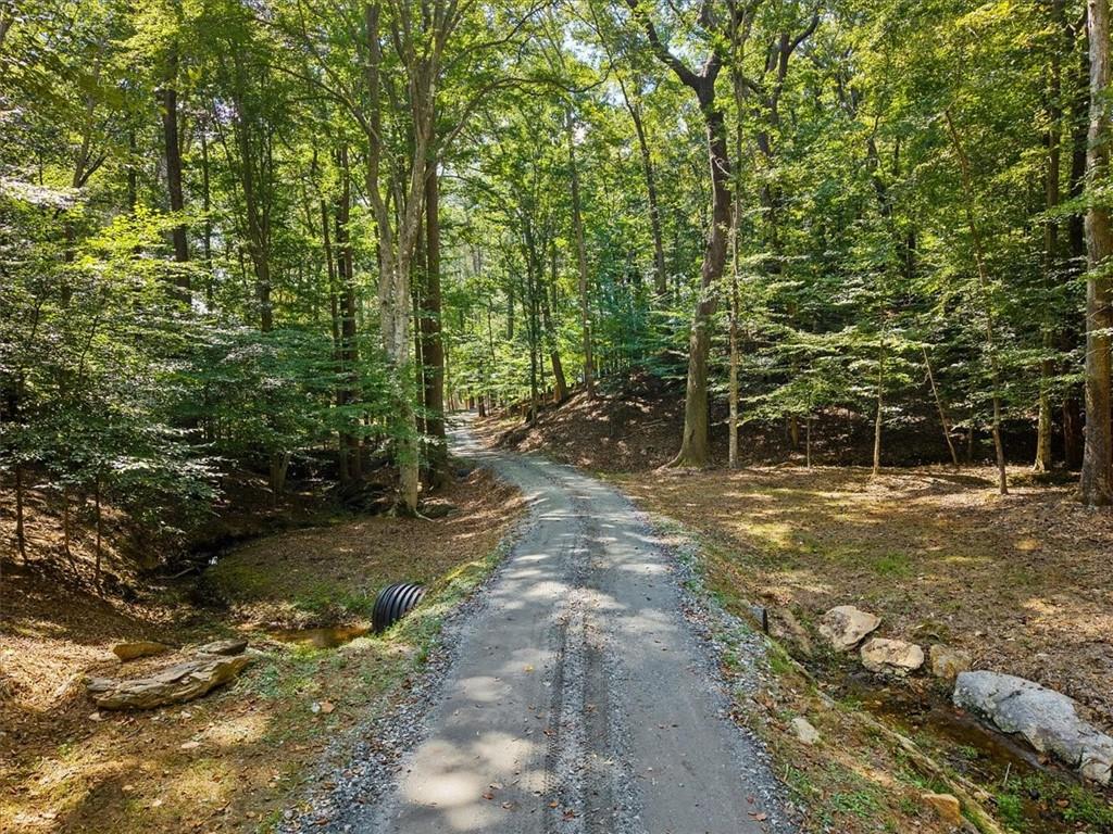 353 Jesse Martin Trail