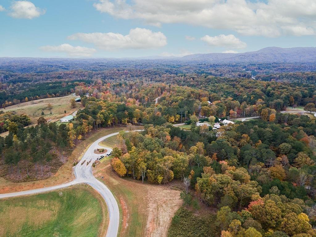 Lot264 Riverview Trail, Ellijay, Georgia image 7