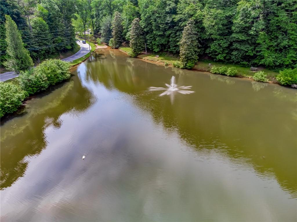 Creekside Drive, Ellijay, Georgia image 19