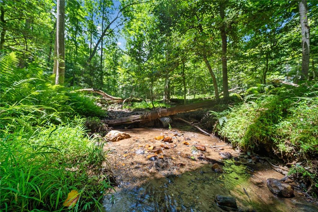 Creekside Drive, Ellijay, Georgia image 4