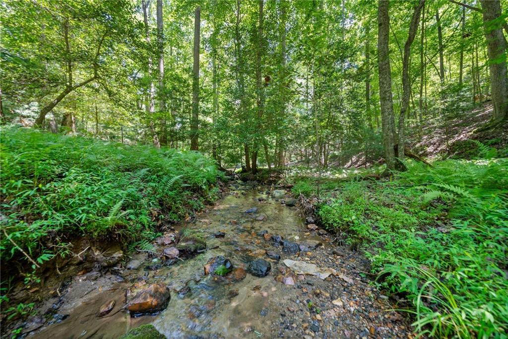 Creekside Drive, Ellijay, Georgia image 1