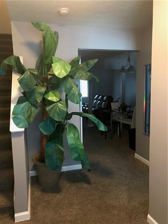 8372 Carlington Lane