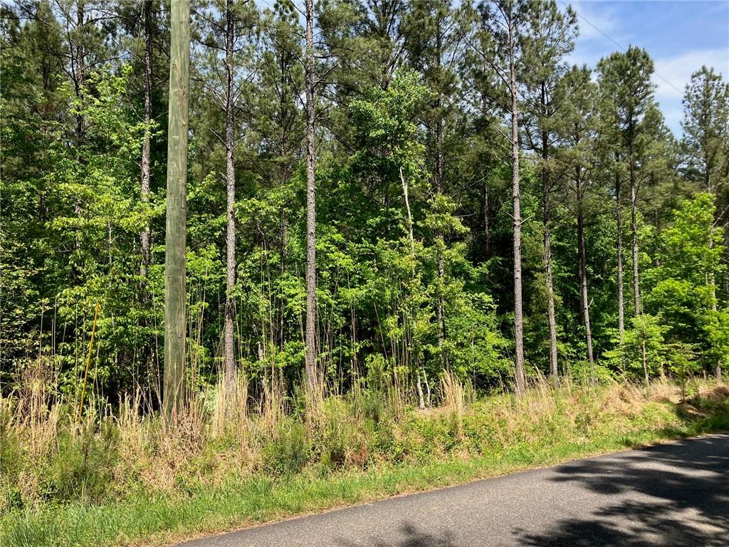 325 Rock Fence Road NW