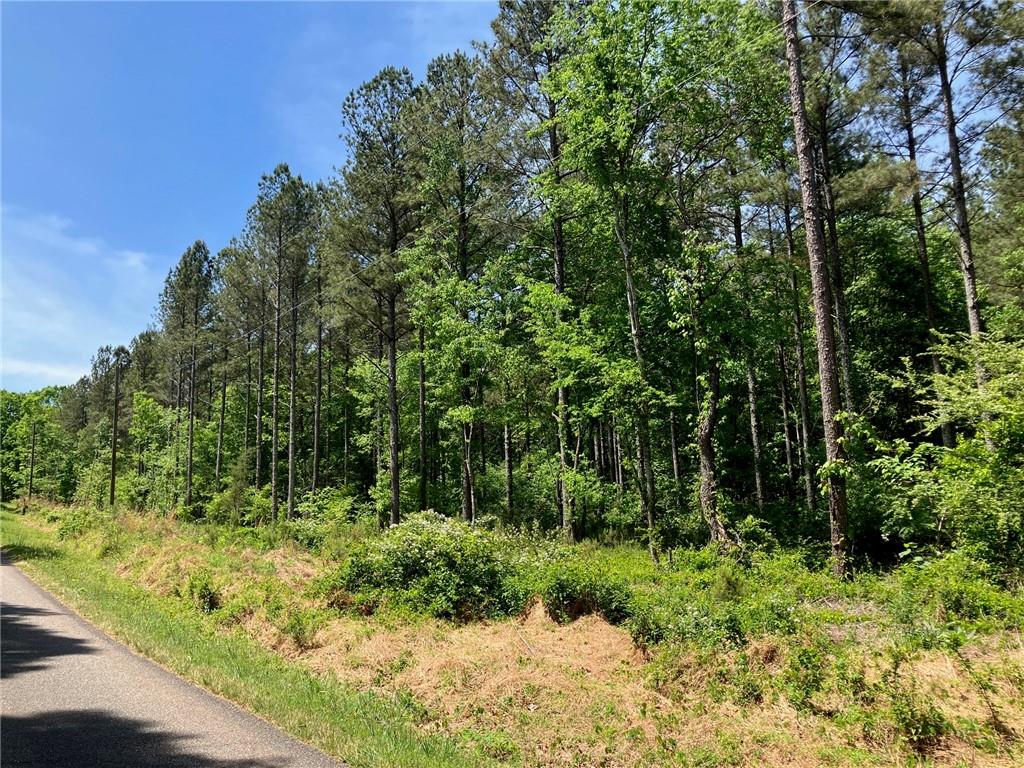 325 Rock Fence Road NW