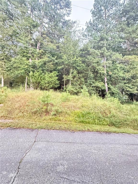Don’t miss this incredible opportunity to own a beautiful residential lot in the heart of Conyers! Located at 2569 Pinewood Dr NE, this spacious property offers the perfect sitting to build your dream home in a quiet, well-established neighborhood. Enjoy the peace and privacy of a wooded setting while still being conveniently located just minutes from shopping, dinning, schools, International Horse Park, and major highways. With easy access to I-20, commuting to Atlanta or surrounding areas in a breeze. Whether you’re a builder, investor, or future homeowner, this lot is full of potential. Bring your vision and make it a reality!
