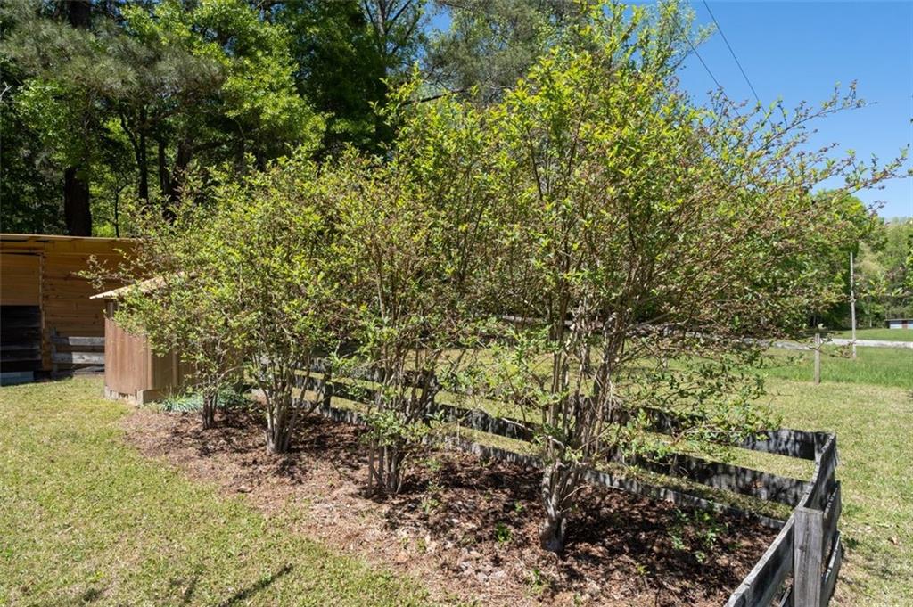 2295 Nutt Road, Franklin, Georgia image 46