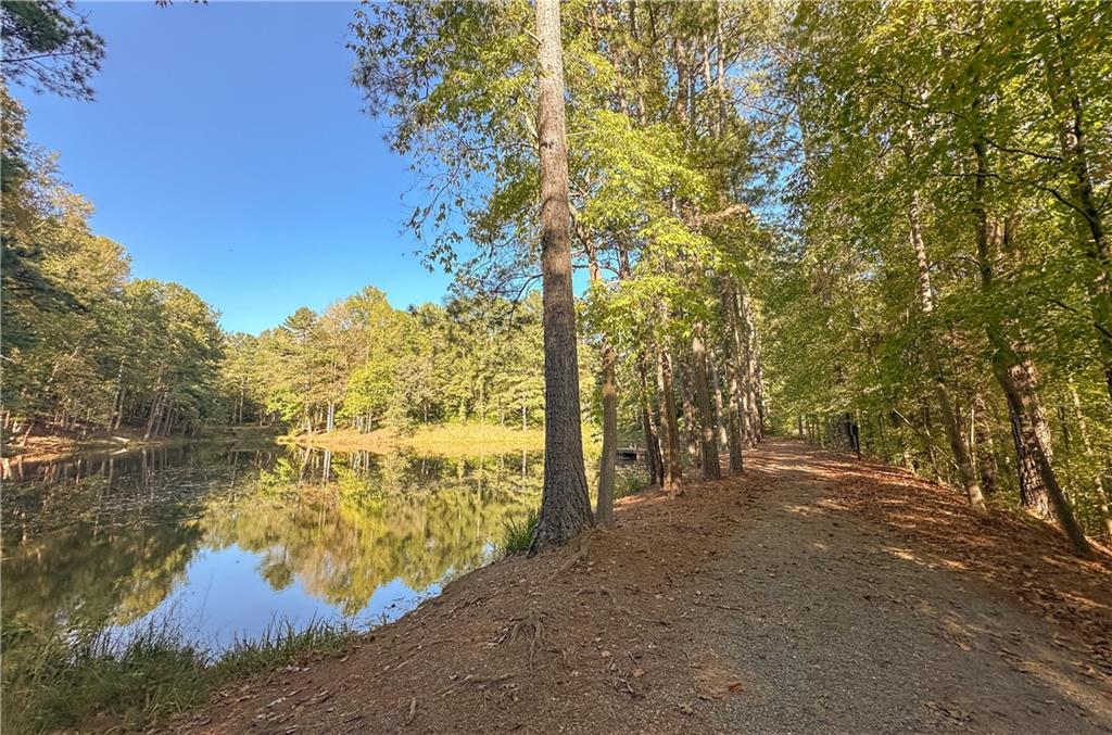 5209 Chastain Way, Gainesville, Georgia image 42