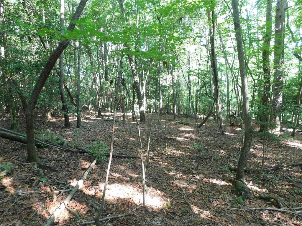 Tucked away in a serene, private setting, this beautiful 5.81-acre tract offers a rare opportunity to own a piece of untouched old-growth forest. With a gravel access drive already in place and paved county road frontage, the property is both easily accessible and secluded. The land is level throughout and features multiple ideal building sites, making it perfect for your dream home, family compound, or quiet retreat. A Level 2 soils test has already been completed, and power will be available on-site, saving you time and upfront costs. With minimal deed restrictions and no HOA, you’ll enjoy the freedom to make the property truly your own. Don’t miss this chance to build in a peaceful, natural setting surrounded by mature hardwoods and abundant wildlife. Located near Historic Dahlonega, the Chattahoochee National Forest (USFS), Amicalola Falls, and a wide variety of outdoor activities.