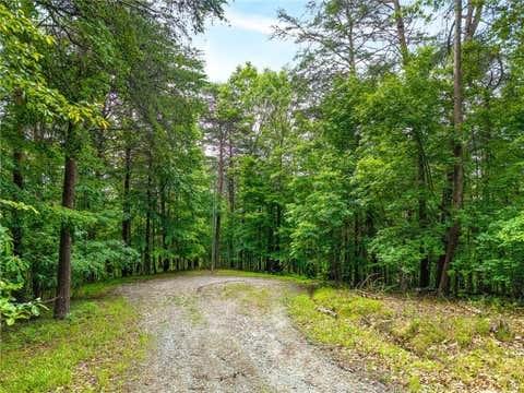 Vacant Land For Sale - 1332 Birch Lane<br/> Ranger, GA 30734