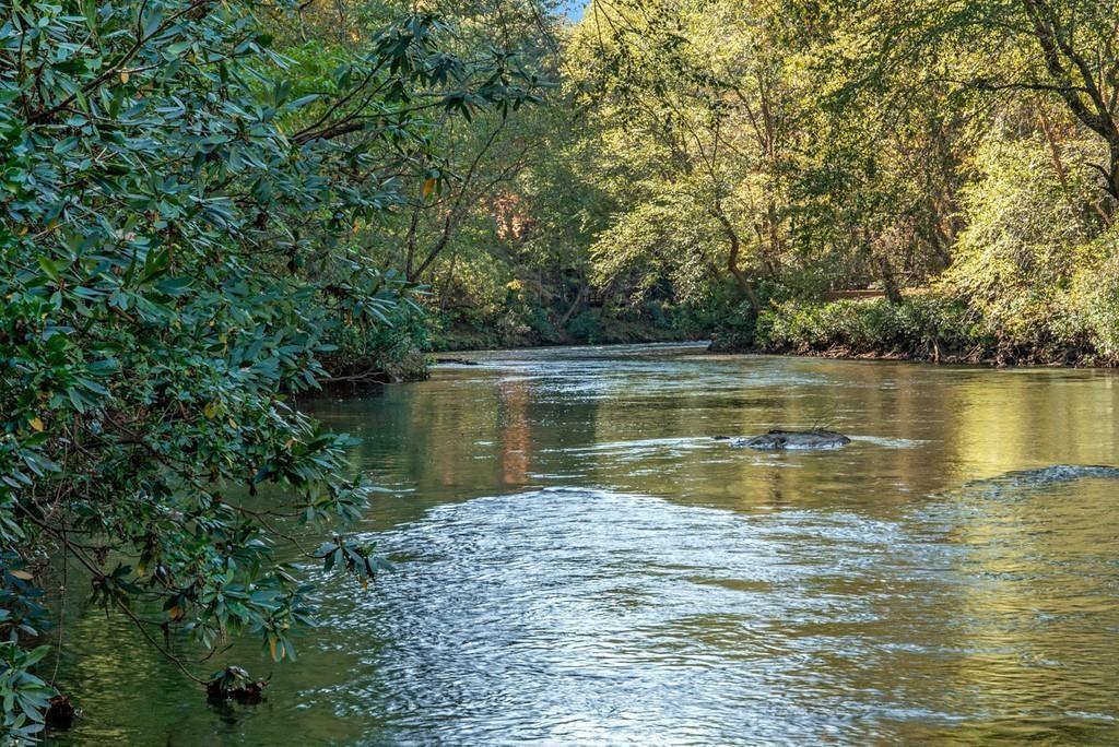 - River Forest Run