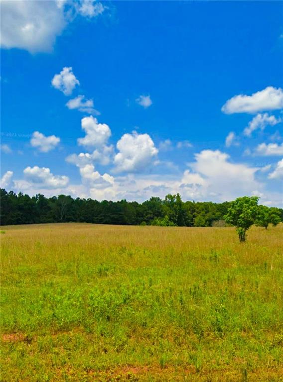 646 Spears Lane, Mansfield, Georgia image 1