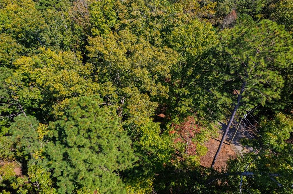 12 Oneida Circle